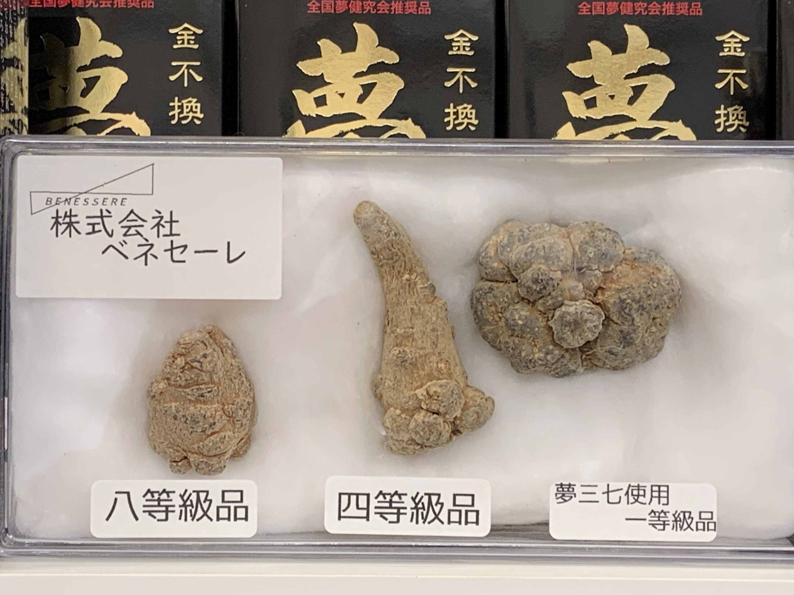 夢三七を服用された方の“驚きの効果”とその理由 角島漢方堂で利用者 